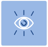 visión